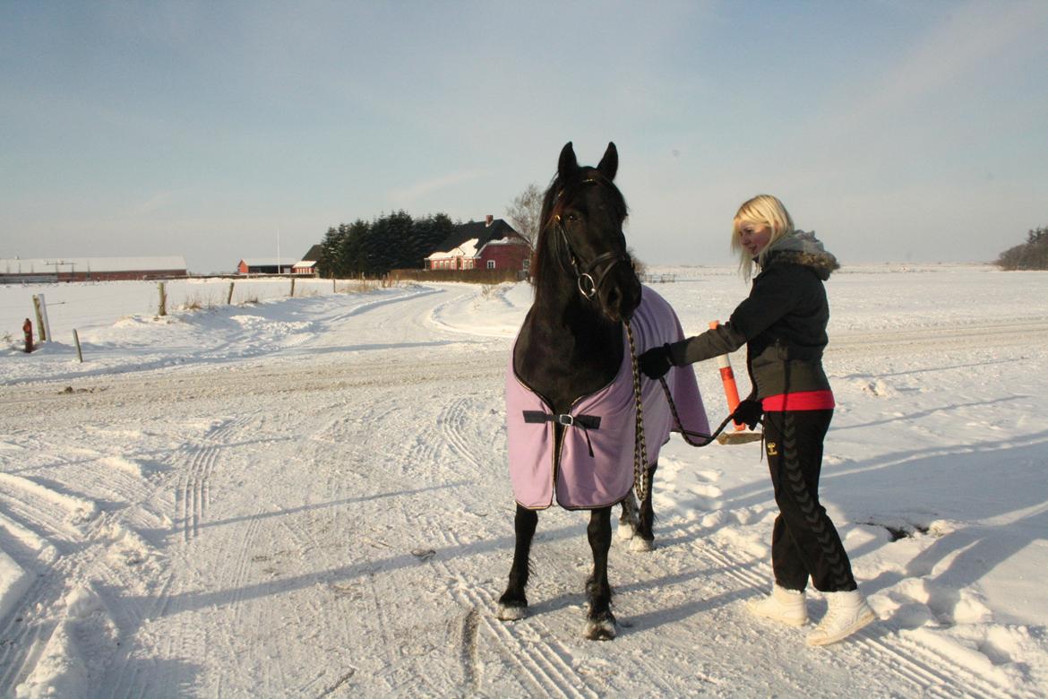 Anden særlig race Nala billede 6