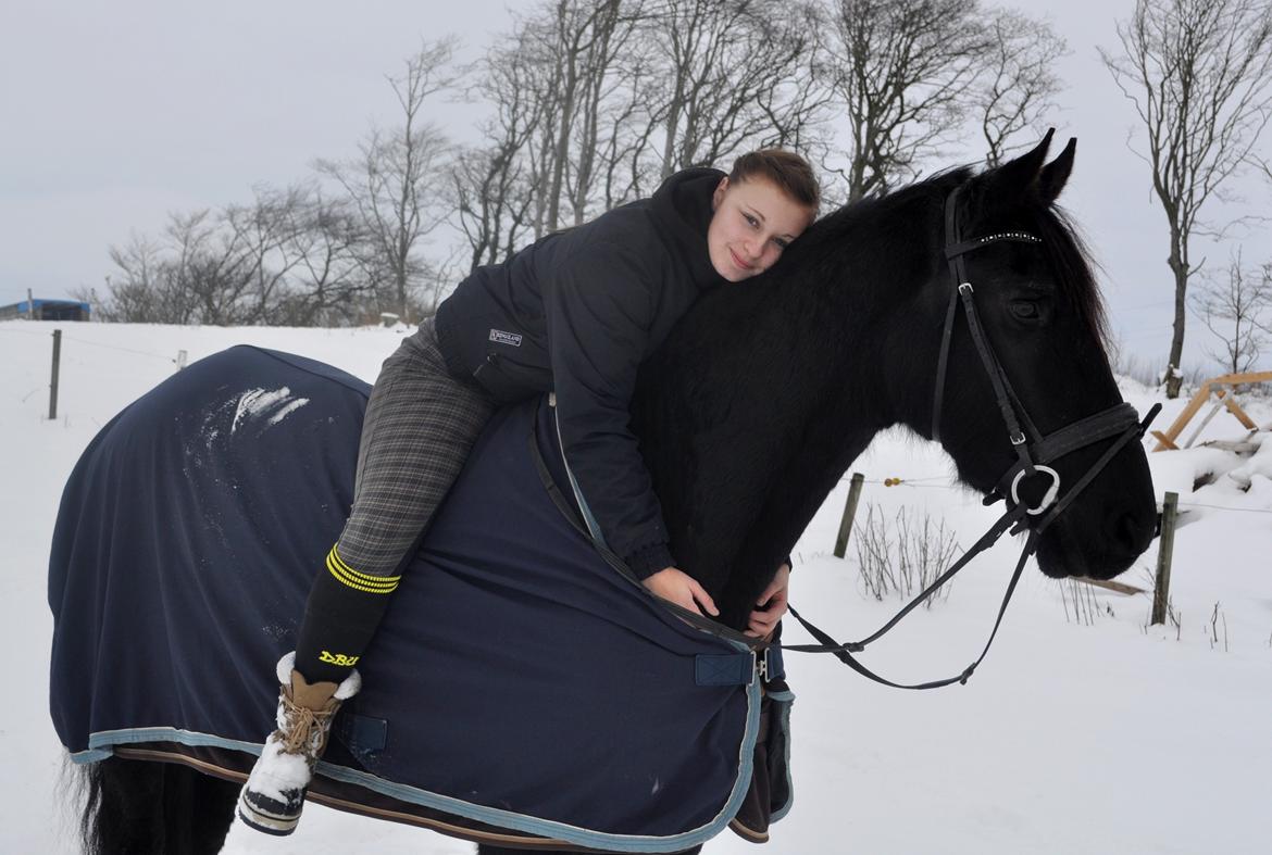 Frieser Geartsje Tjimske K. [Solgt] - Dejligste hest <3 billede 15