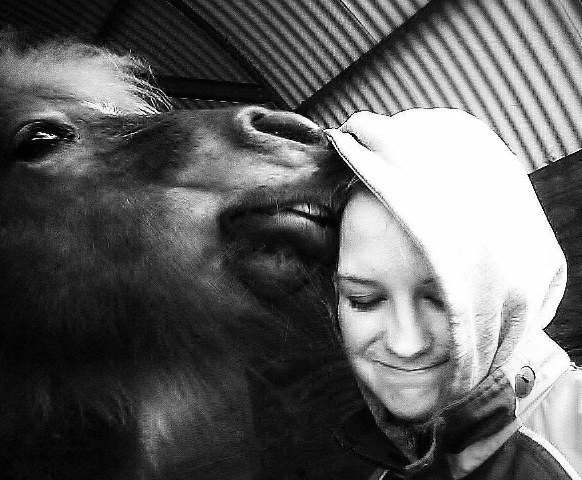 Shetlænder Katie <3 - 4 # Du kunne altid få et smil på mine læber!<3 Foto: AFH 04.11.12 billede 4