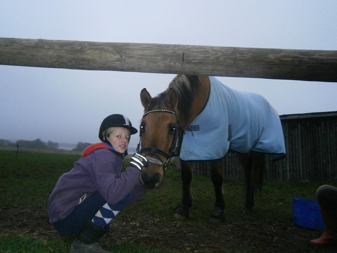 Anden særlig race Sweedy - Marie og Sweedy! billede 12