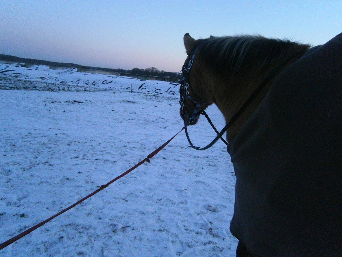 Anden særlig race Sweedy - Uhh!.. Hun kan se Patrik på sin lyserøde (mini) scooter:-) billede 16