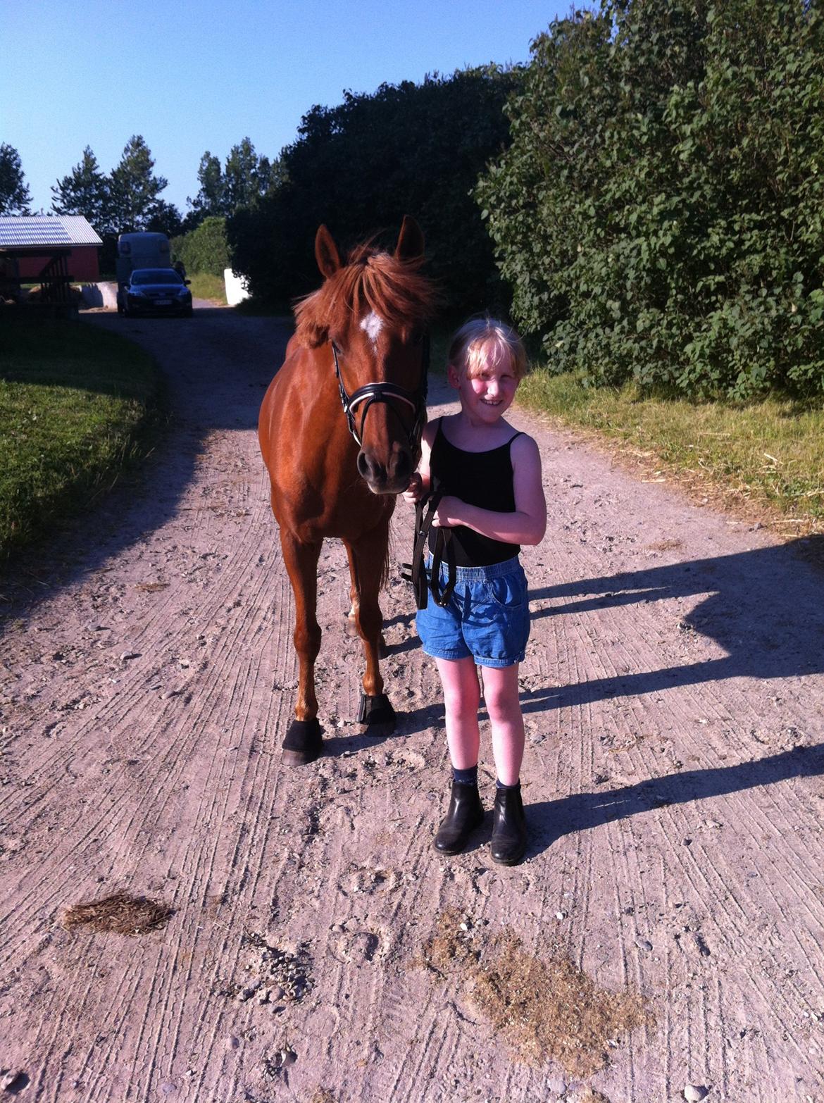 Anden særlig race Rasmus - Juli 2012:-) billede 7