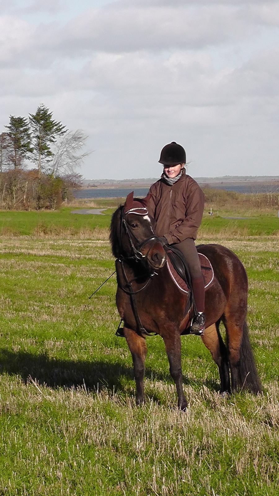 New Forest | Lærke - 18. Lærke og Frederikke :D billede 18