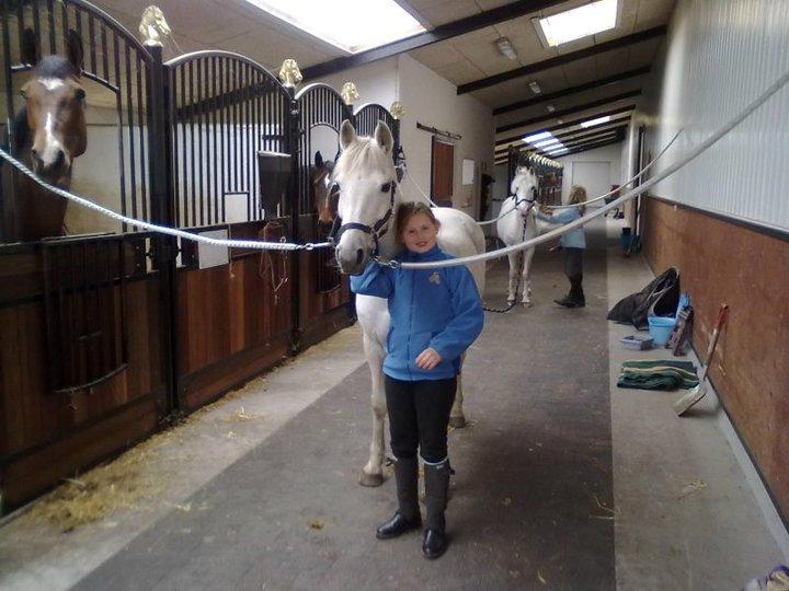 Anden særlig race Sandy billede 2