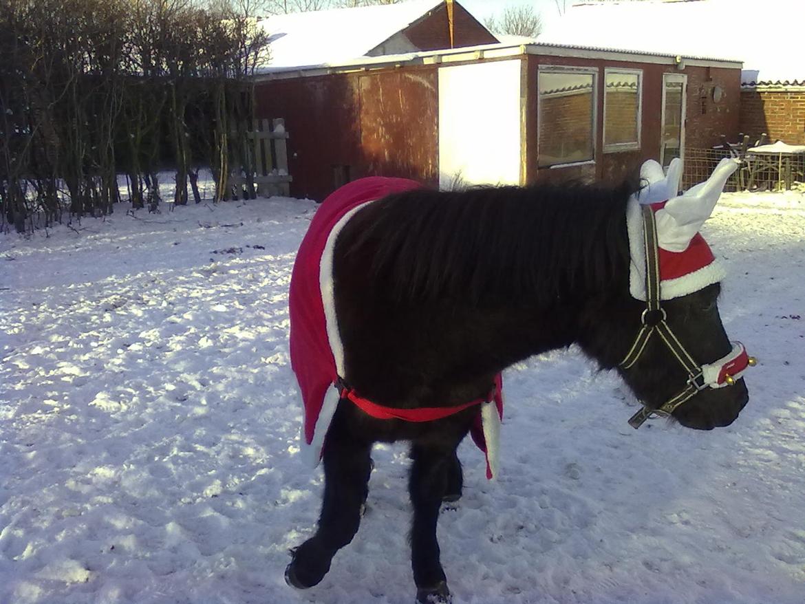 Anden særlig race cirkeline billede 2