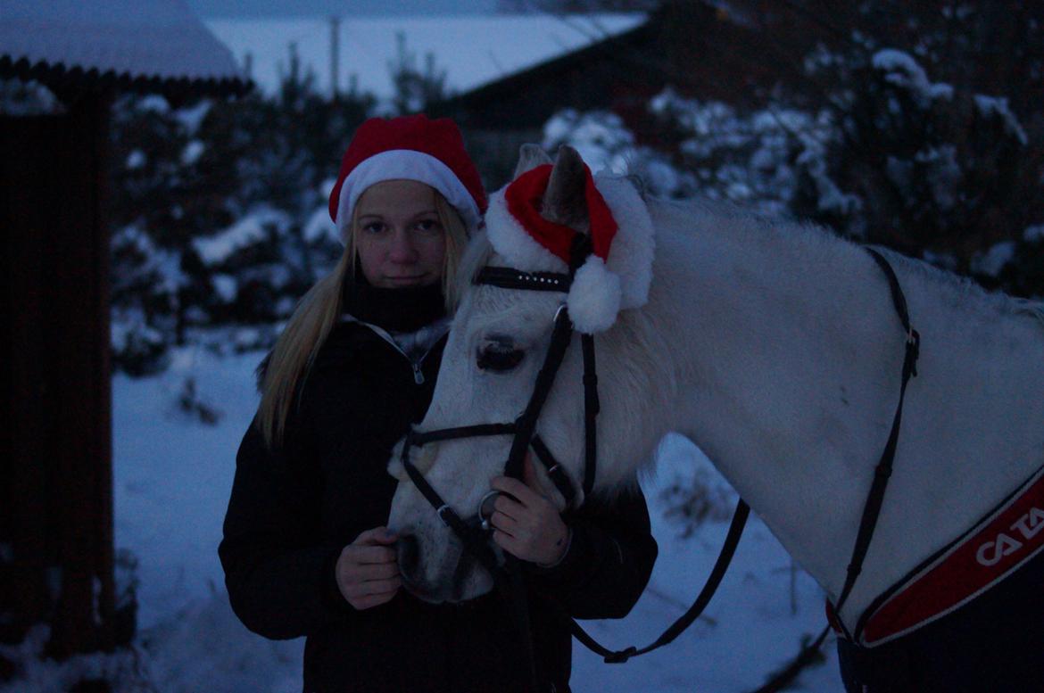 Anden særlig race Jasmin*Solgt )':* <3 billede 13