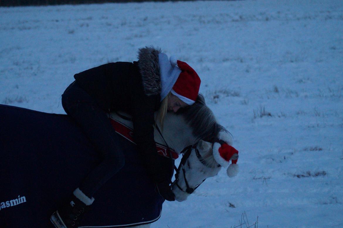 Anden særlig race Jasmin*Solgt )':* <3 billede 11