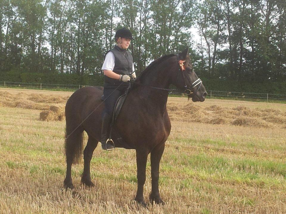 Frieser Romeo billede 5
