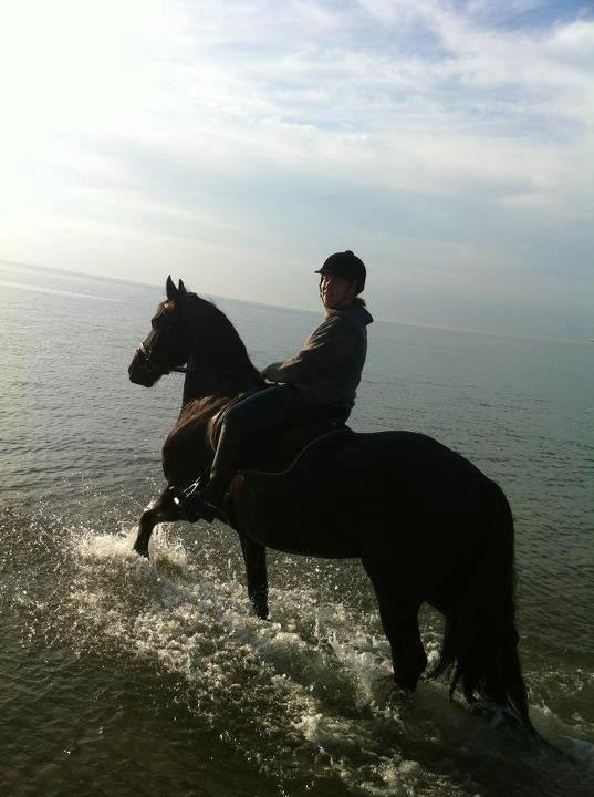 Frieser Romeo billede 10