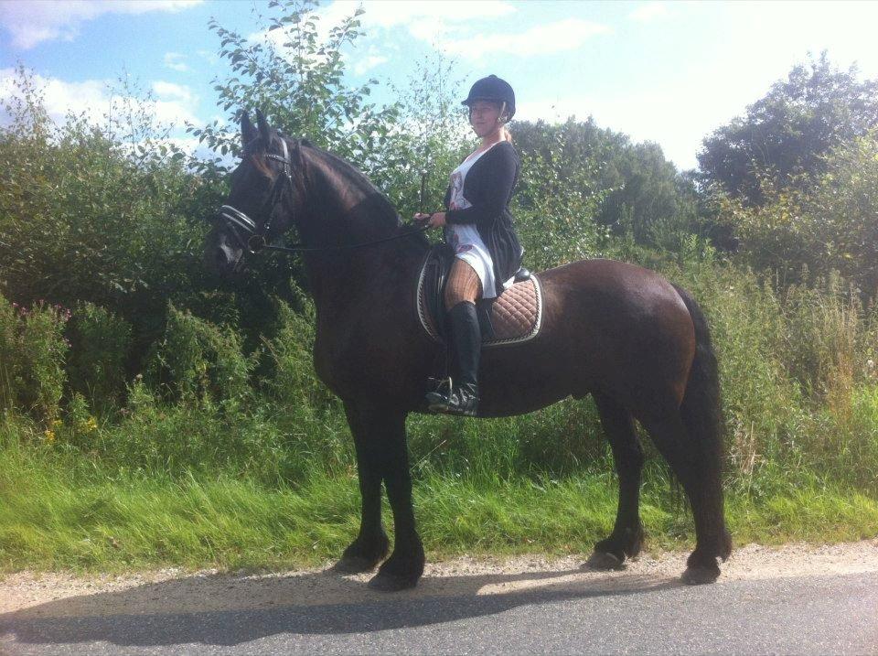 Frieser Romeo billede 11