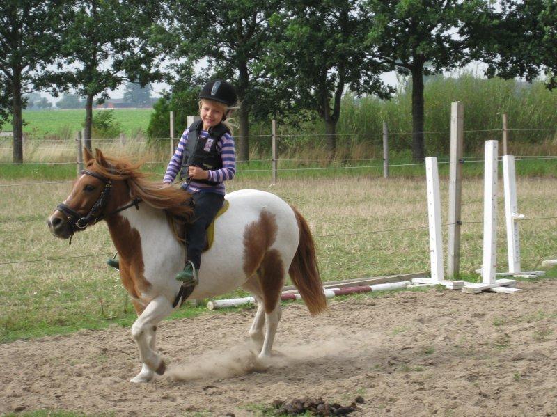 Anden særlig race Spirit - Sommer 2012 billede 1