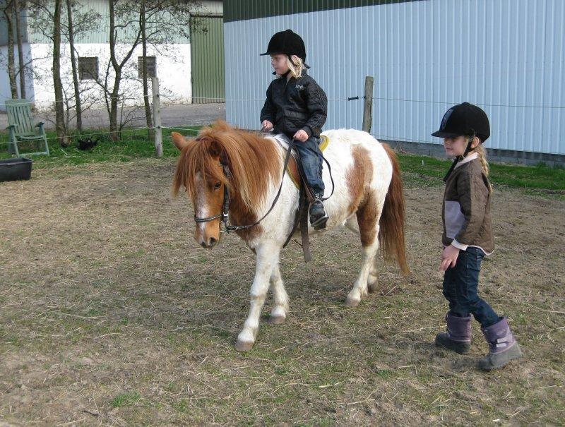Anden særlig race Spirit - Forår 2012 billede 3