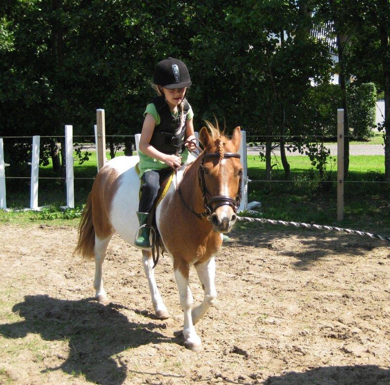 Anden særlig race Spirit - Sommer 2012 billede 2