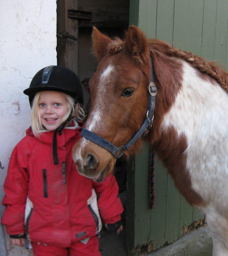 Anden særlig race Spirit - Vinter 2011, Spirit er netop flyttet ind. billede 5