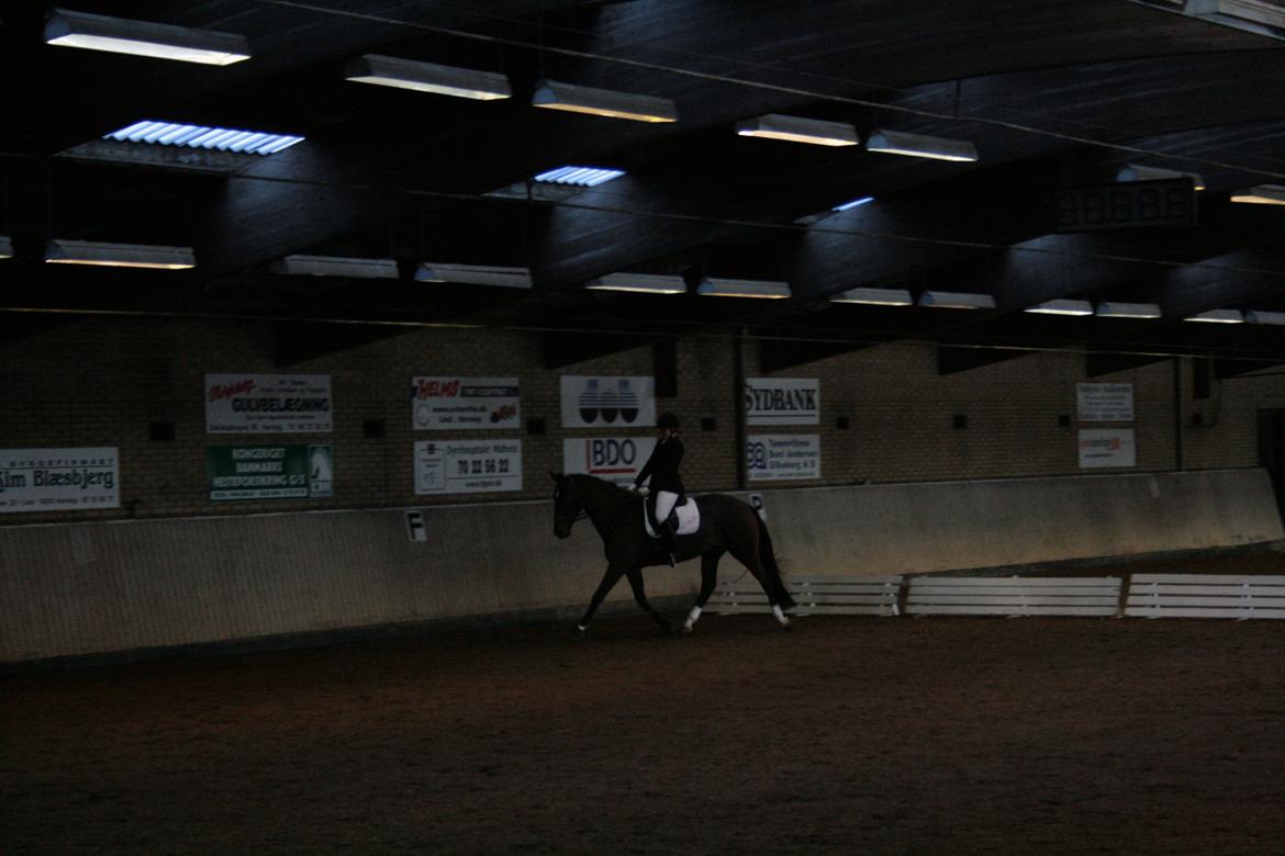 Oldenborg Valiant - Ld2 - 8 dec 2012 , 1plads billede 4