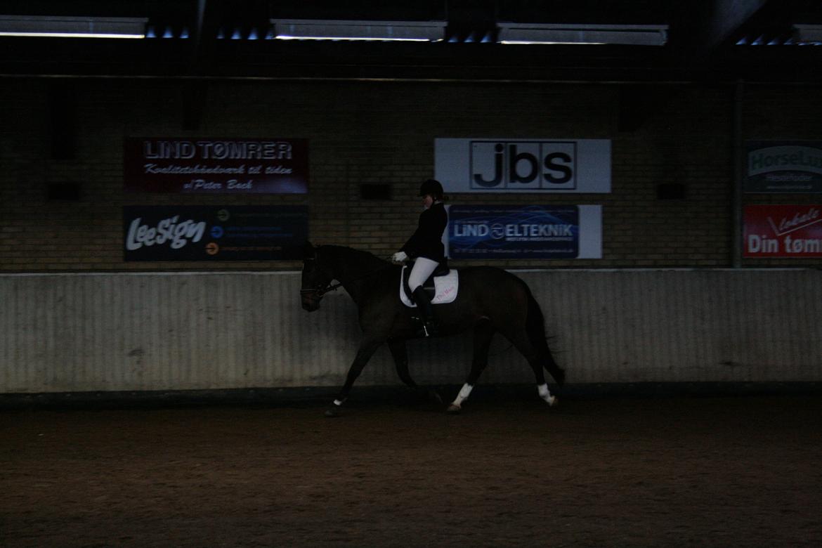 Oldenborg Valiant - Ld2 - 8 dec 2012 , 1plads billede 5
