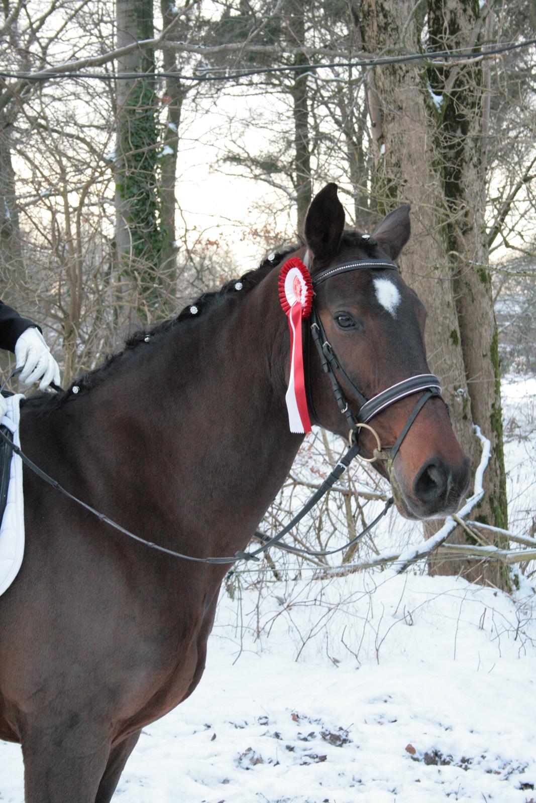 Oldenborg Valiant billede 2