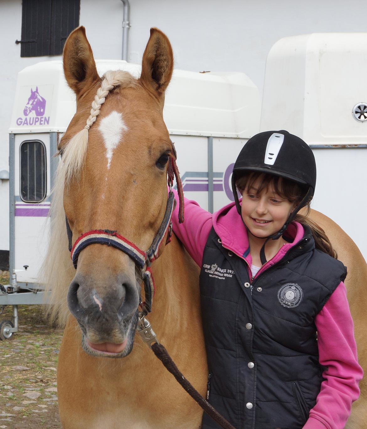 Anden særlig race Valentino <3 *Tino* | My Soulmate|<3 - Lækker pony.(; Et Gammelt billede. billede 1