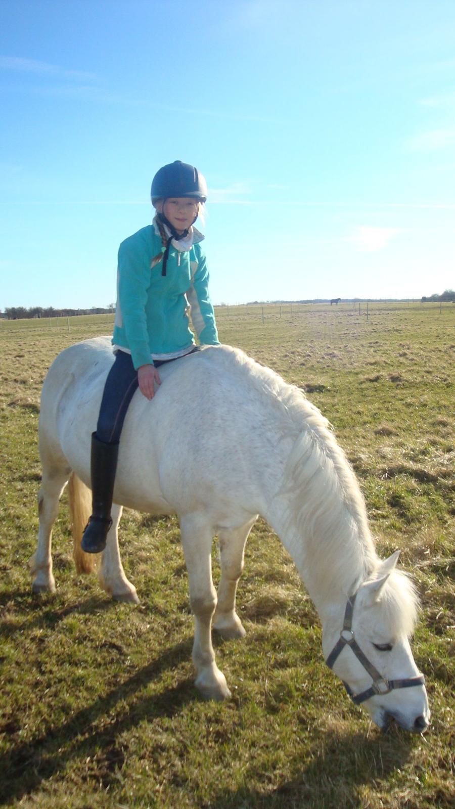 Anden særlig race Cornelius billede 4