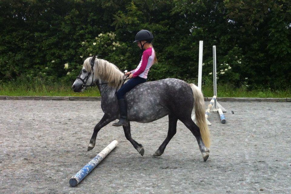 Anden særlig race Fiona billede 5