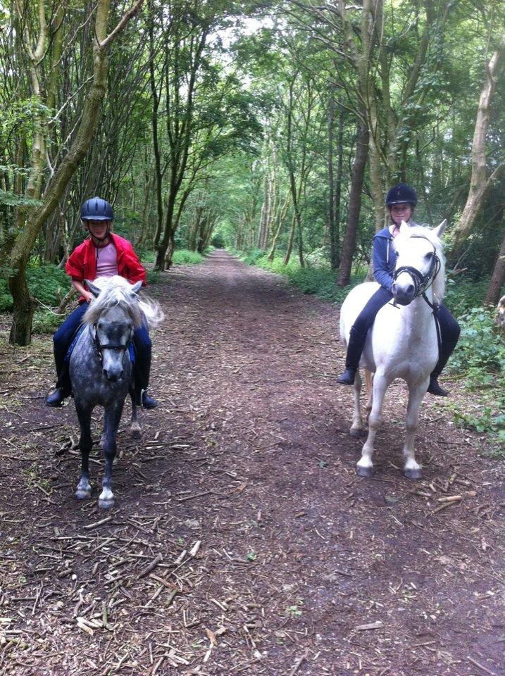 Anden særlig race Fiona - I skoven. Cornelius og Cecilie ved siden af <3 billede 2