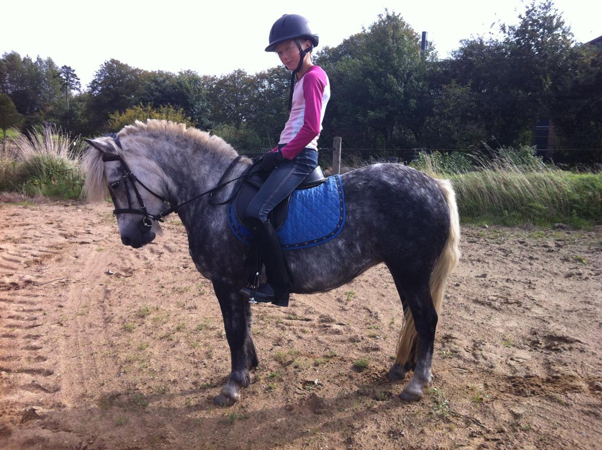 Anden særlig race Fiona billede 1