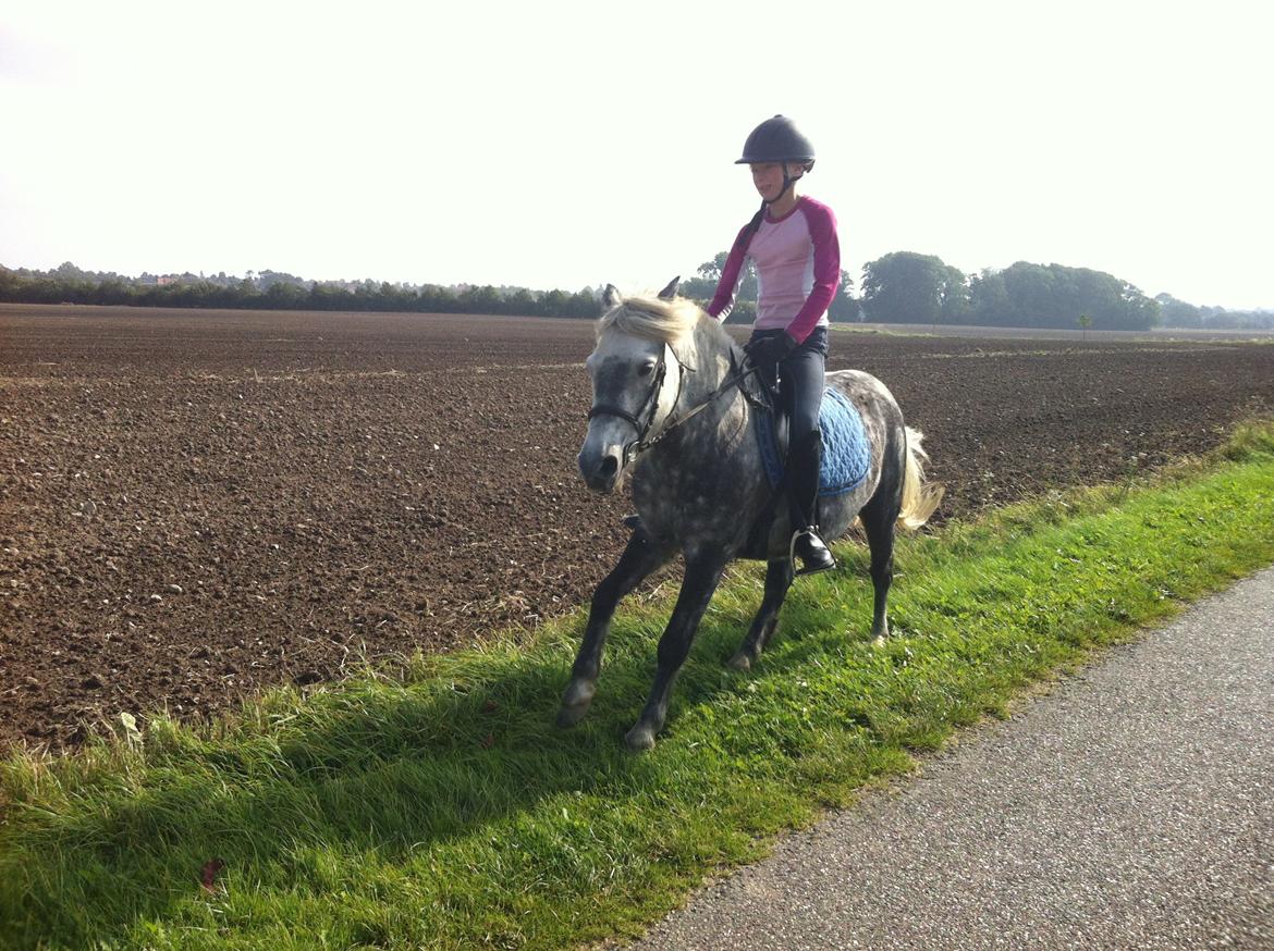 Anden særlig race Fiona billede 6