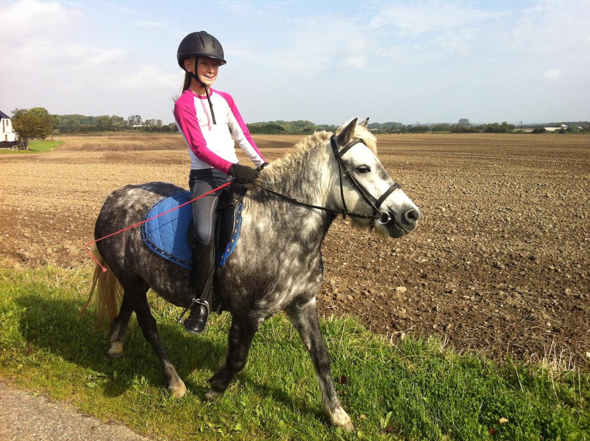 Anden særlig race Fiona billede 7