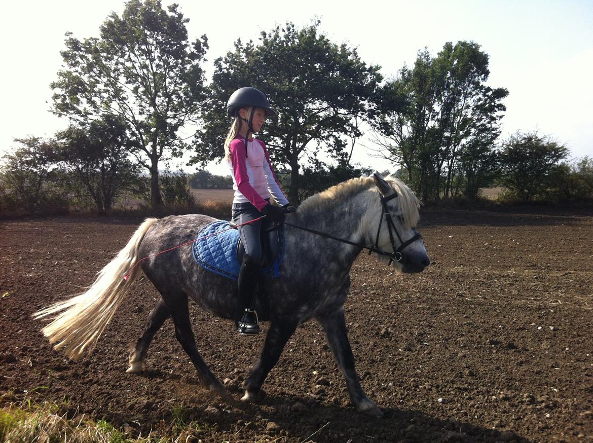 Anden særlig race Fiona billede 8