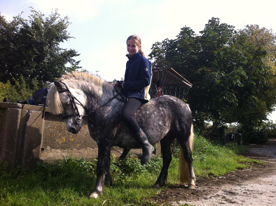 Anden særlig race Fiona - Ops. Glemte ridehjelm...;-) billede 9