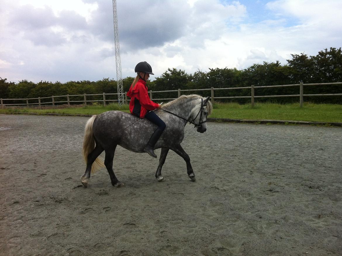 Anden særlig race Fiona billede 3