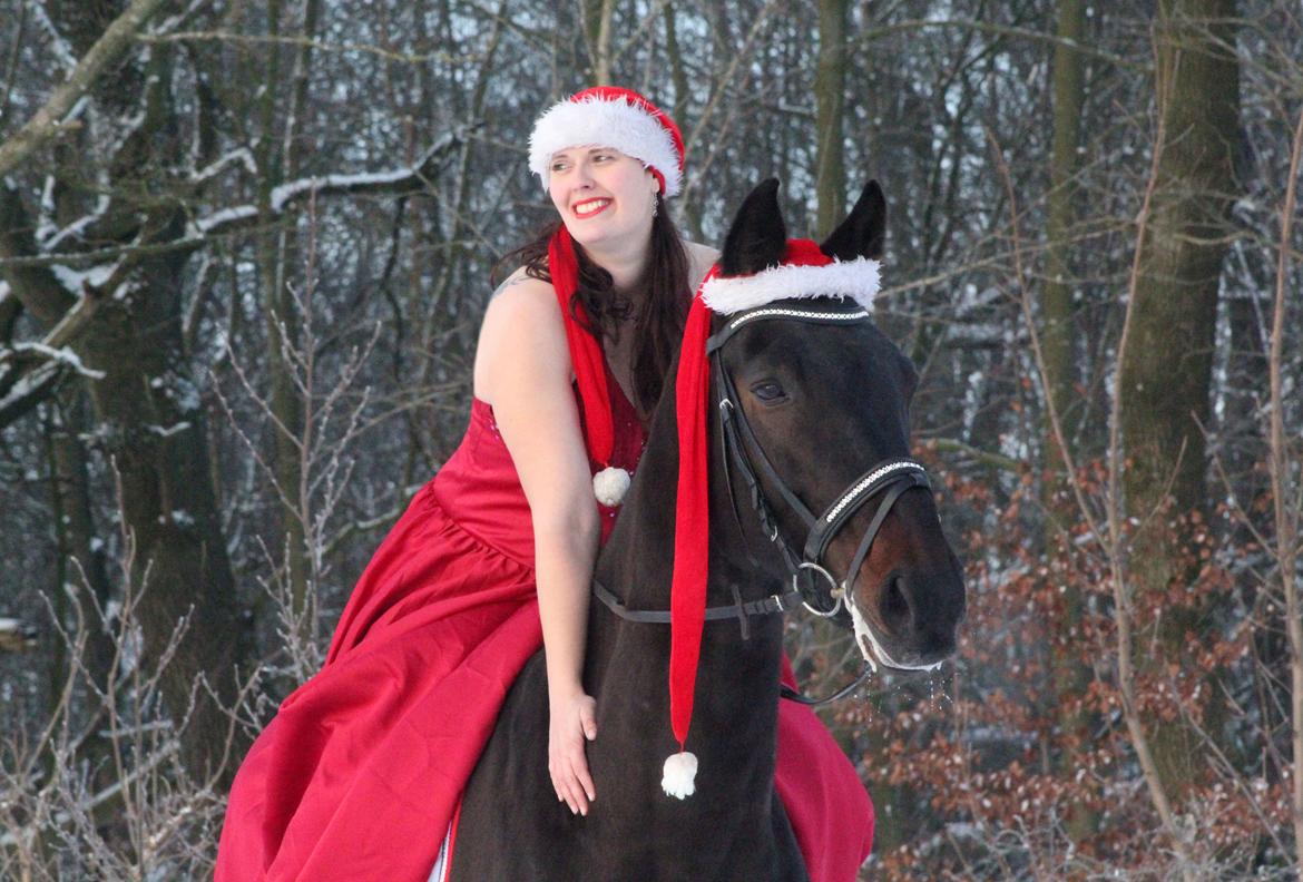 Oldenborg Skjaldhøj Tobias (Min Soulmate) *Højt elsket* - Tubbe og mig julehygger :) billede 41