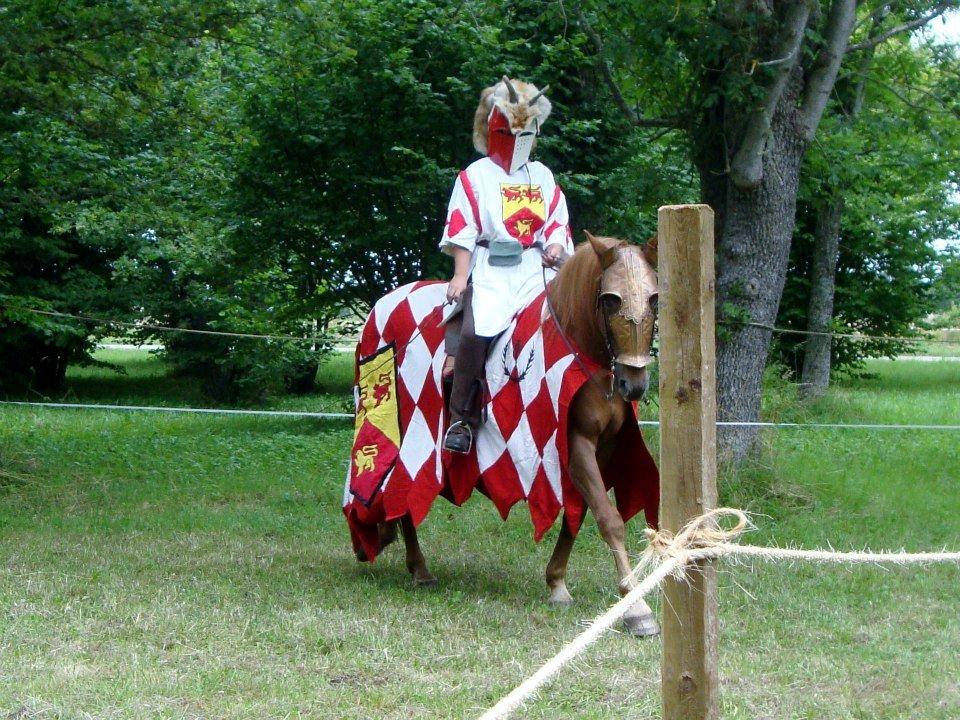 Anden særlig race Sir Duke ¤Mit et & alt¤ - Man fejre middelalderen på Gotland. Så vi var den danske rider, som prøvede at få gotland tilbage billede 17