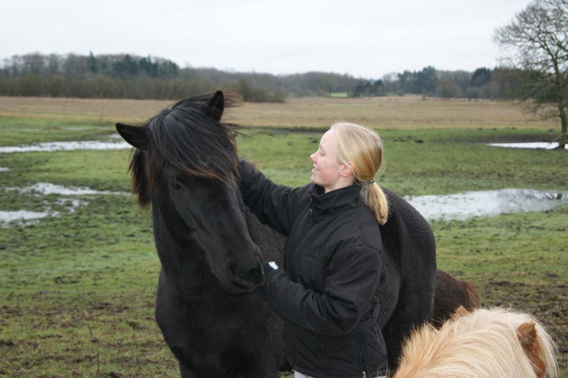 Anden særlig race Simply Grey (R.I.P) - Vildhest. :) billede 1