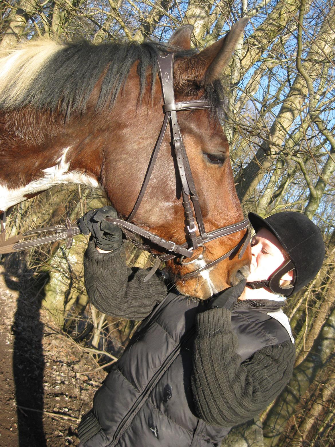 Pinto Shamrocks Jumping Jack Flash/Hoelgaard's Ferrari E - Jack ELSKER at kysse :* billede 11