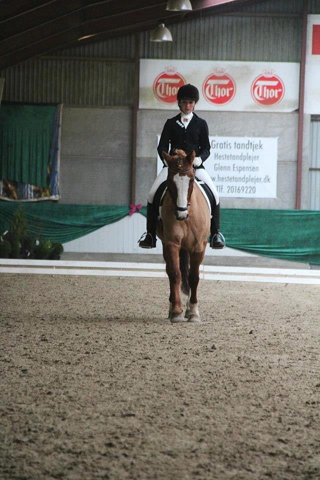 Anden særlig race Lego Star - LA1 novmeber 2012
foto: Simone Jensen billede 18