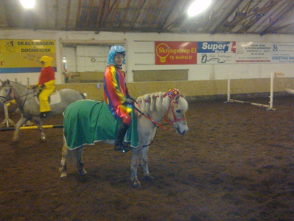 Anden særlig race Safran - Fastelavn på Birken! :D billede 13