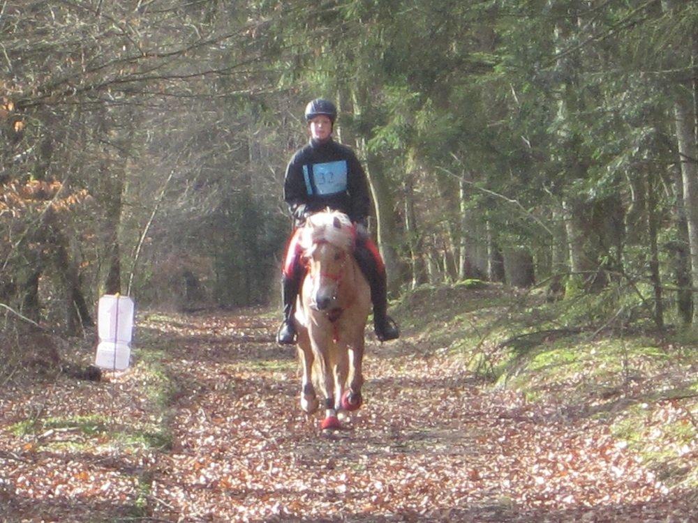 Anden særlig race Safran - Feldborgridtet 2012! <3 billede 16