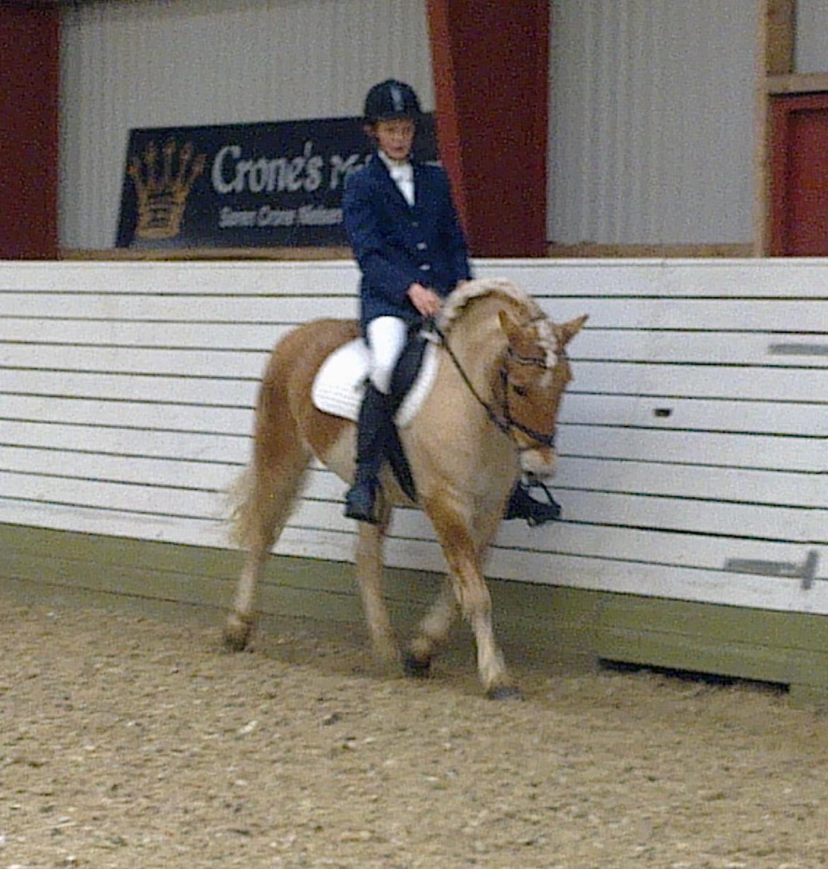 Anden særlig race Safran - Hmm.. lidt dressur billede 17