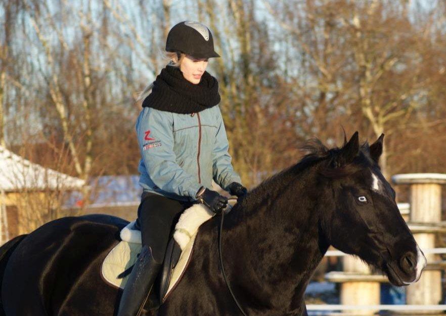 Anden særlig race Zizanie - tidligere passer - Line-photos billede 4
