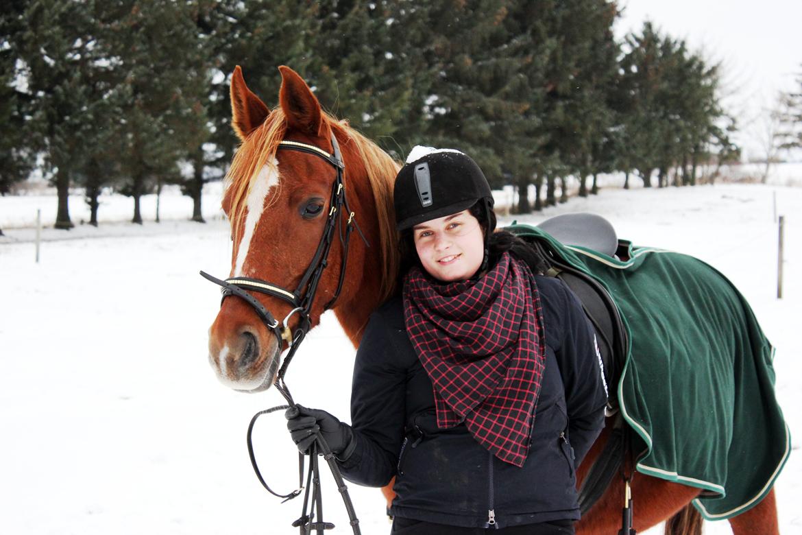 Anden særlig race Mariska *Lady* billede 20