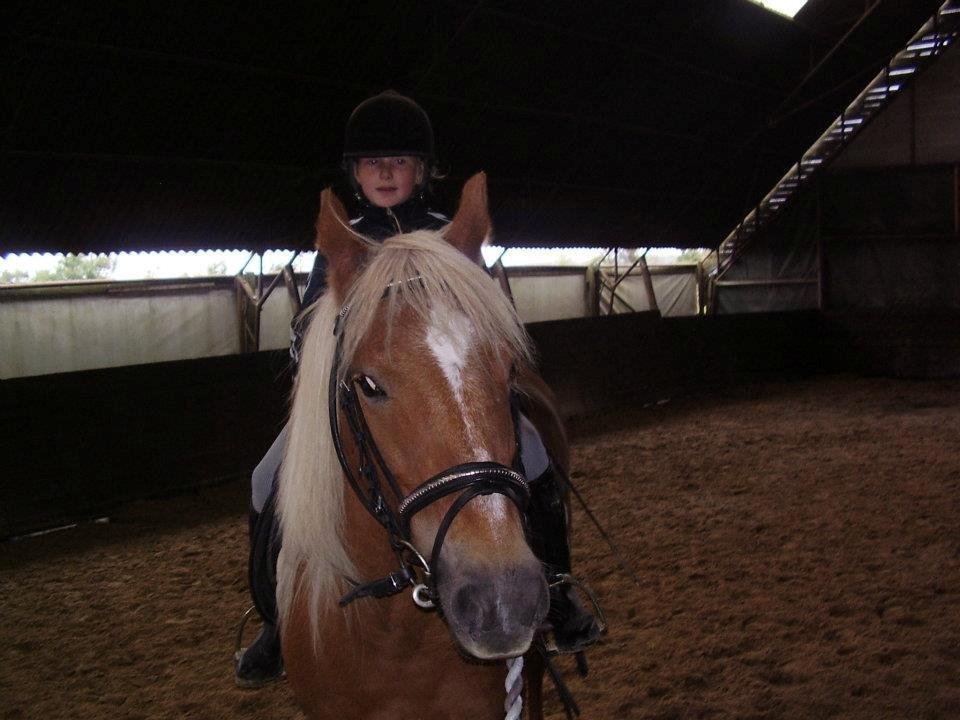 Anden særlig race abiliaty ( tidligere låne pony ) billede 11