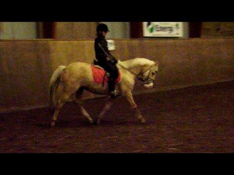 DSP Bæklunds Caia. Vil altid være savnet. billede 12