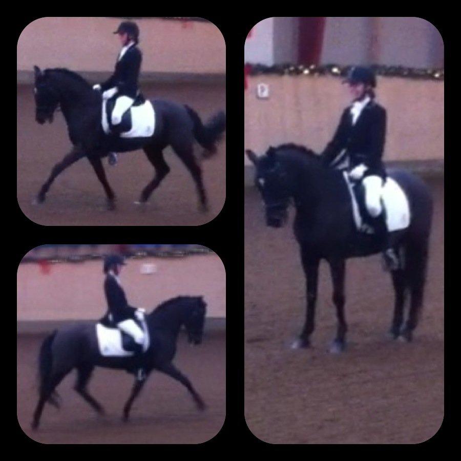 Anden særlig race Natasja (Tusja) - 25.11.12 - Debut i LA5 og debut på lang bane. billede 13