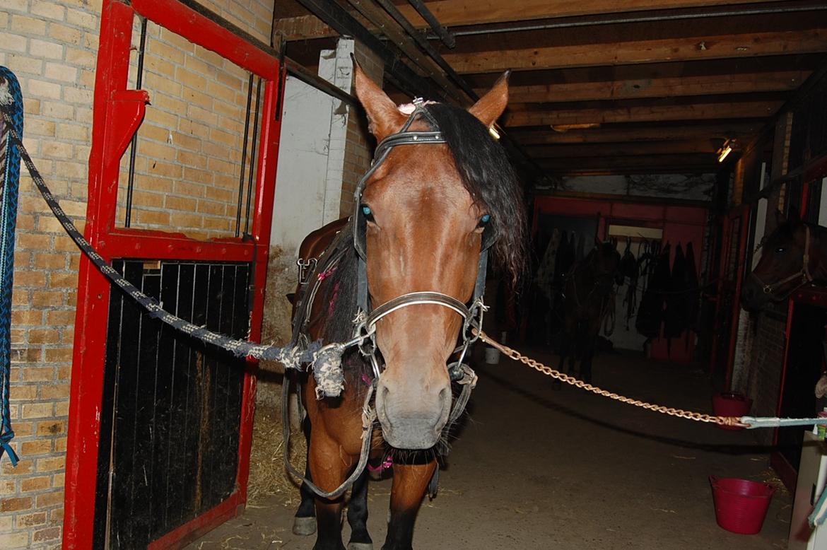 Traver Power Of Roll billede 11