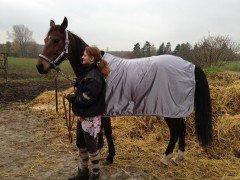 Traver Princess billede 9