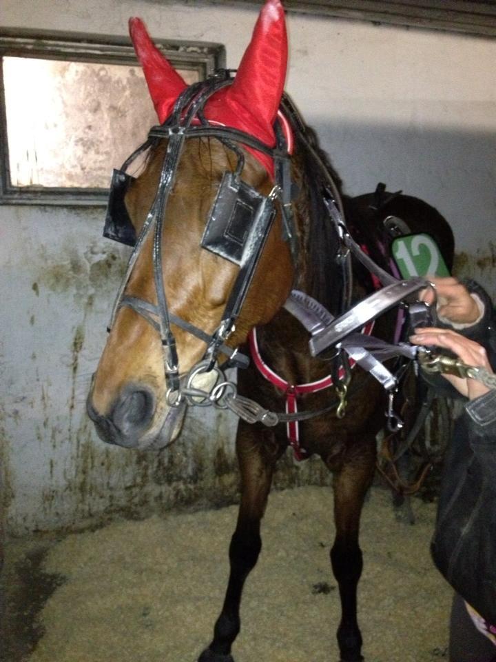 Traver Princess billede 11