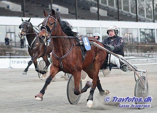 Traver Princess billede 12