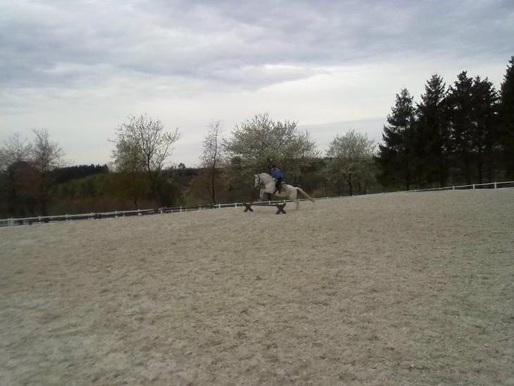 {{currentPhoto.altText}} billede {{currentPhoto.number}}