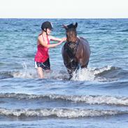 Anden særlig race Engtofts Bonita